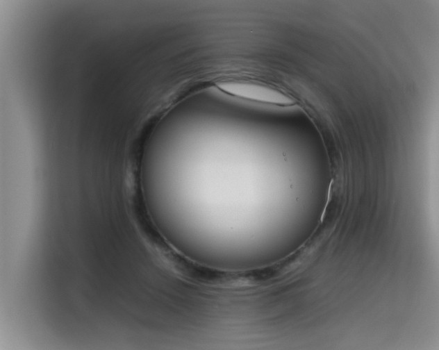 X0000115720456200911191355