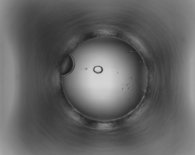 X0000115720457200911191355