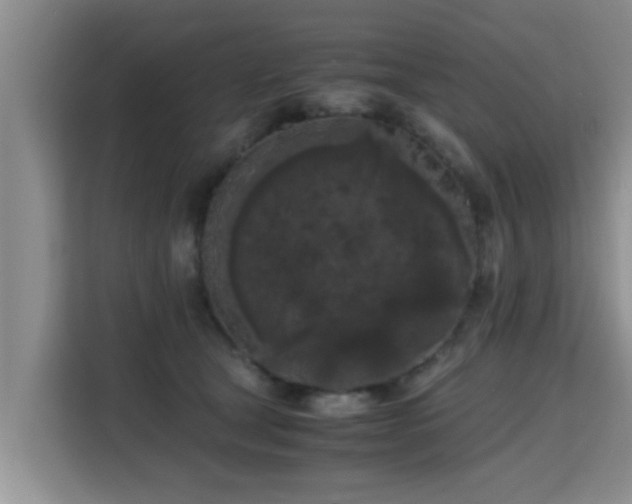 X0000115720465200911191355