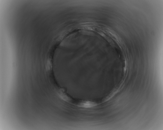 X0000115720467200911191355