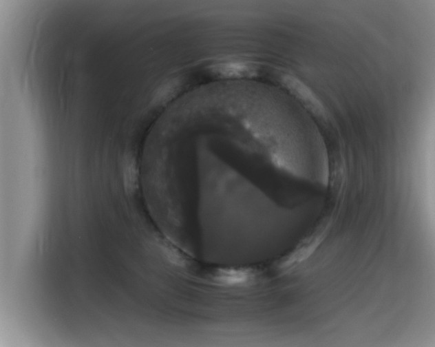 X0000115720469200911191355