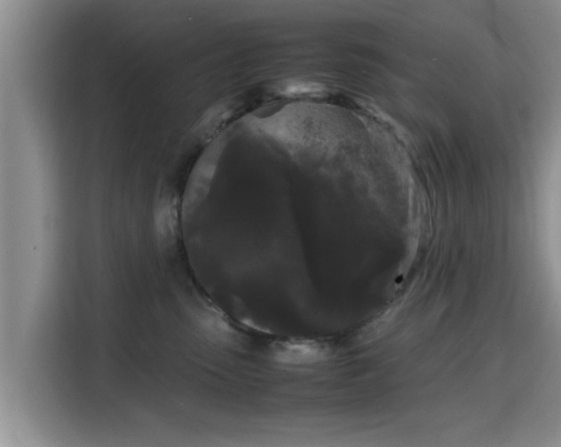 X0000115720475200911191355