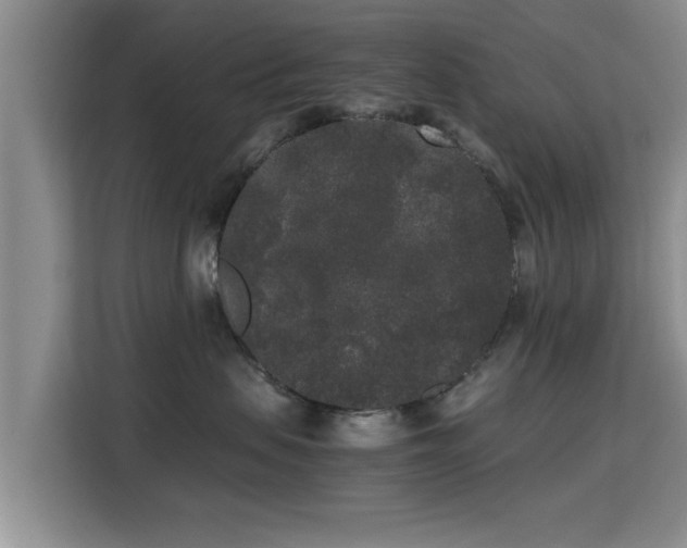X0000115720479200911191355