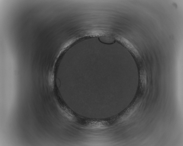 X0000115720488200911191354