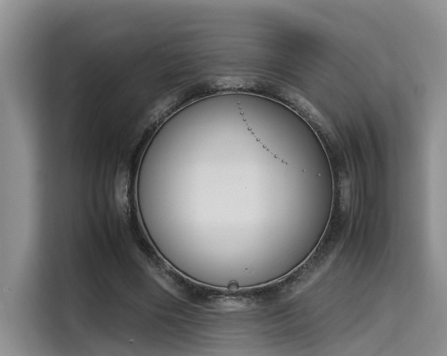 X0000115720490200911191354