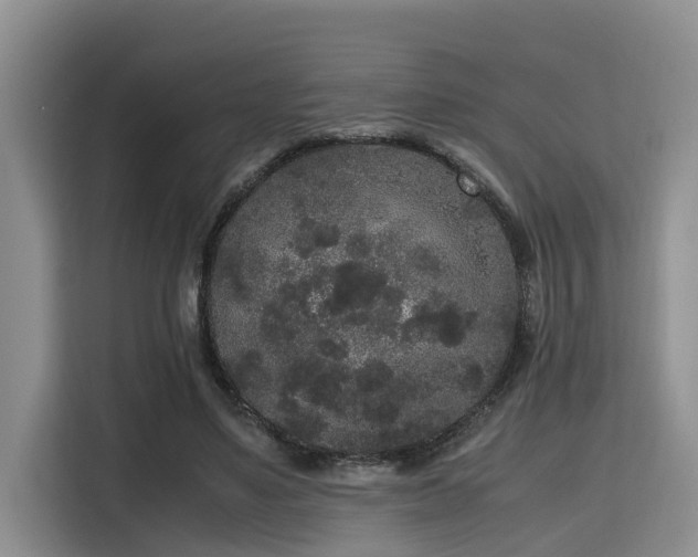 X0000115720491200911191354