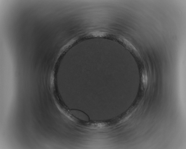 X0000115720492200911191354
