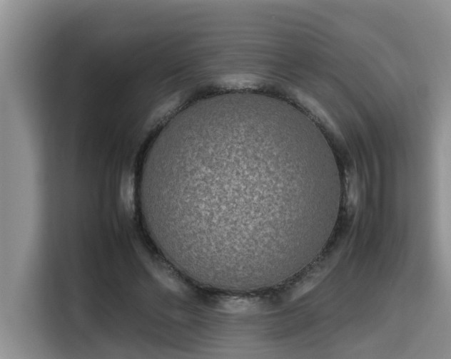 X0000115720494200911191354