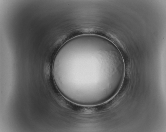 X0000115720495200911191354