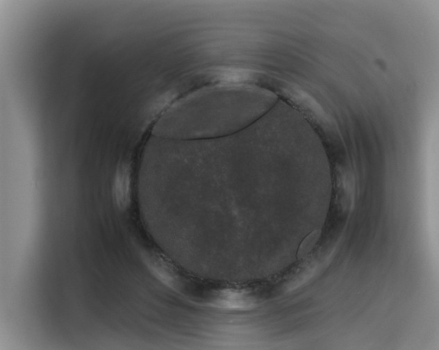 X0000115720496200911191354