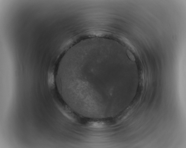 X0000115720500200911191354