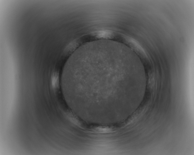 X0000115720502200911191354