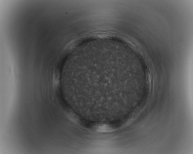 X0000115720507200911191354