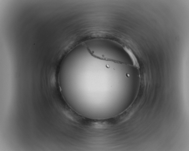 X0000115720508200911191354