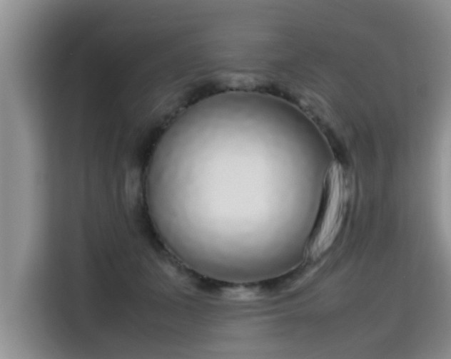 X0000115720511200911191354