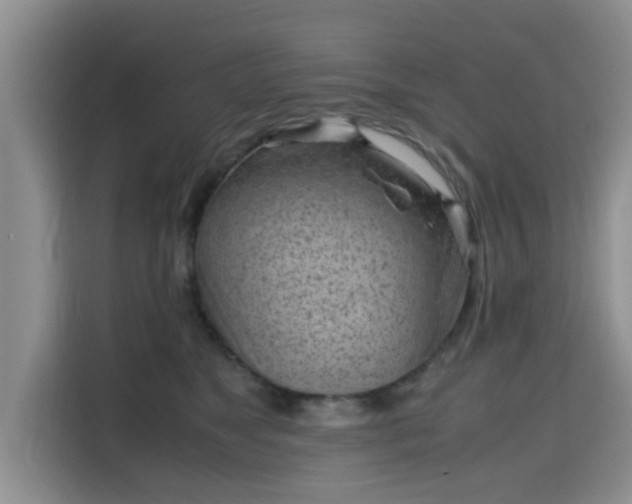 X0000115720517200911191354