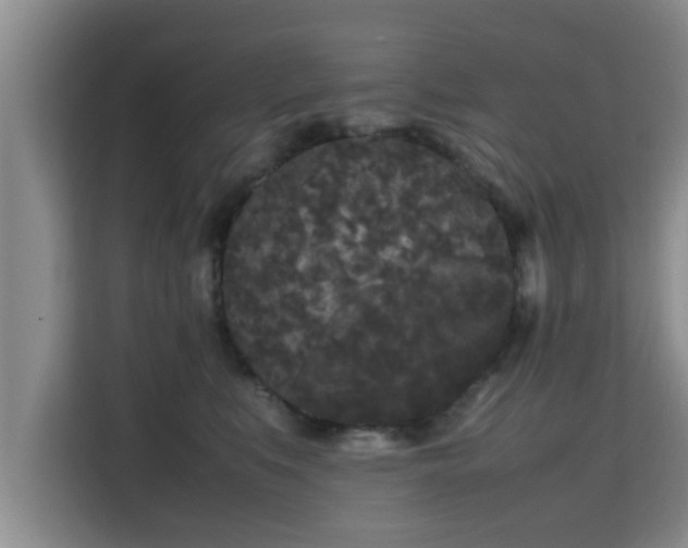 X0000115720519200911191354