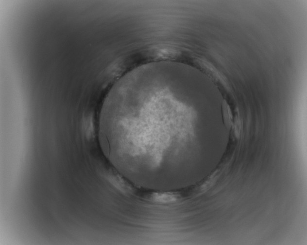 X0000115720520200911191354