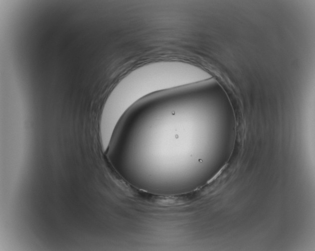 X0000115720521200911191354