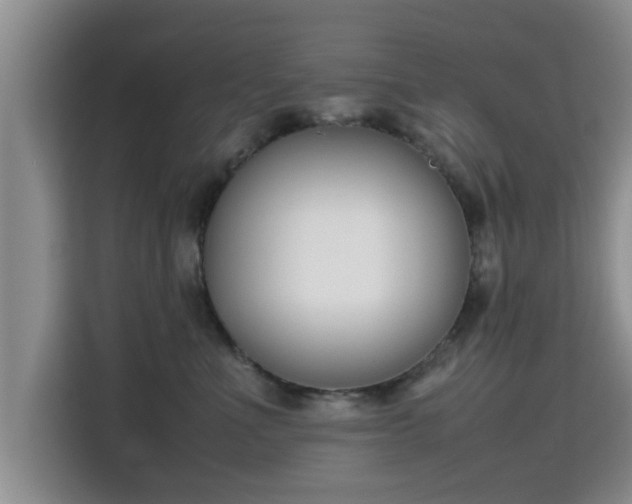 X0000115720523200911191354
