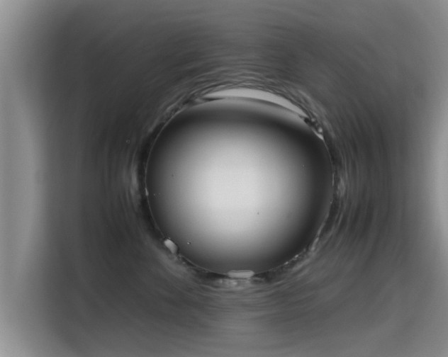 X0000115720524200911191354