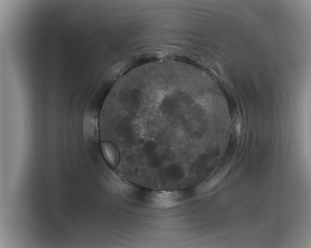 X0000115720527200911191354