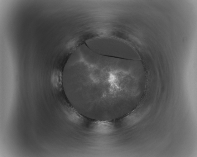 X0000115720528200911191354