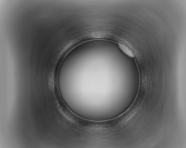 X0000115720530200911191353