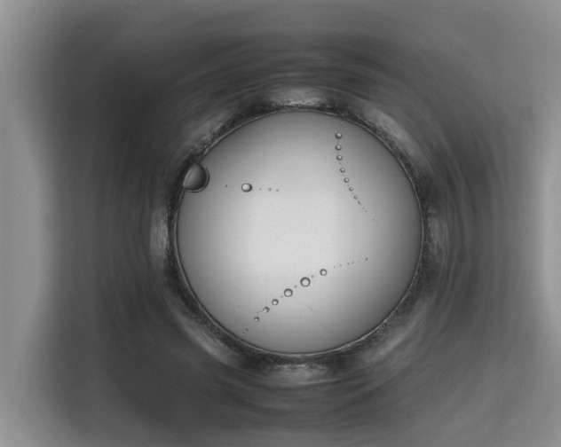 X0000115720541200911191353
