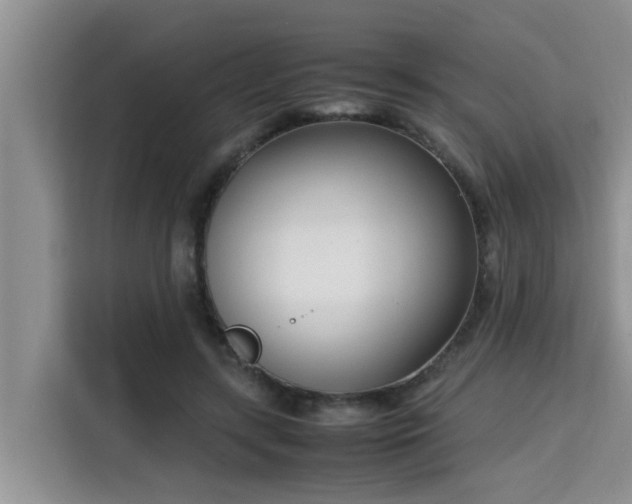 X0000115720547200911191353