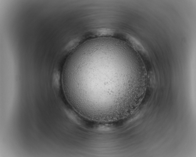X0000115720550200911191353