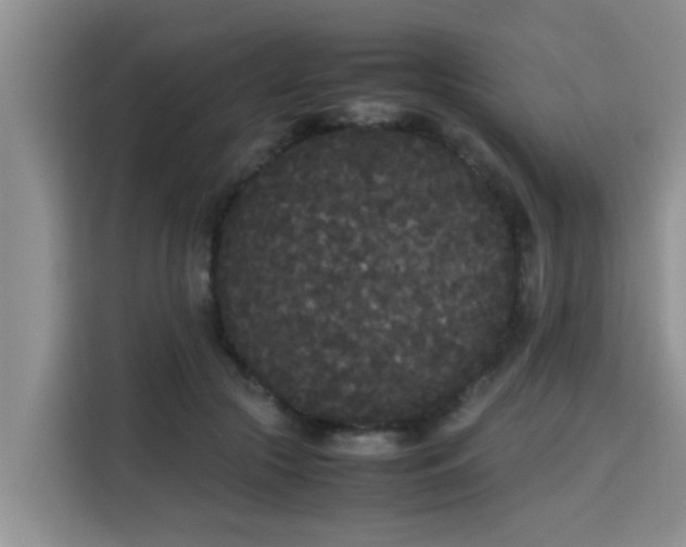 X0000115720553200911191353