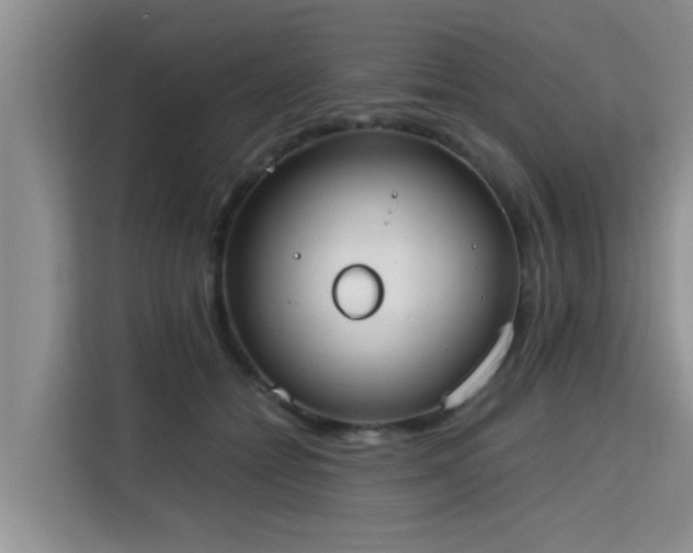X0000115720558200911191353