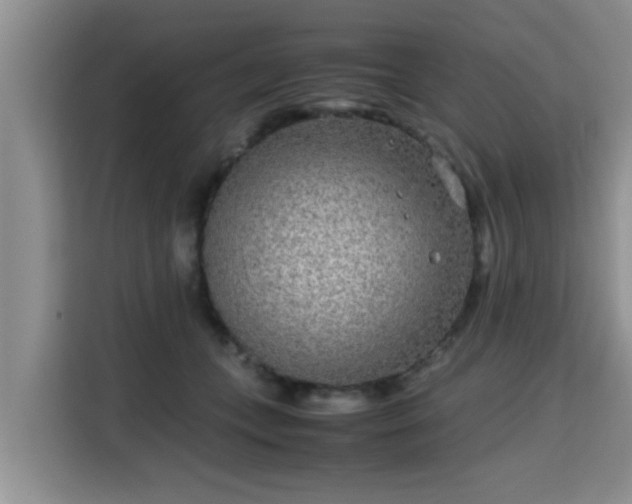 X0000115720559200911191354