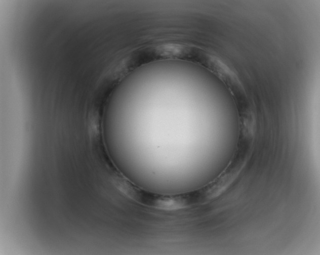X0000115720561200911191354