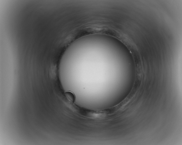 X0000115720563200911191354