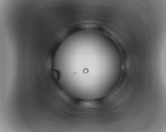 X0000115720567200911191354