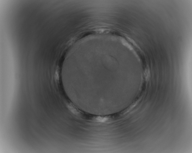 X0000115720570200911191354