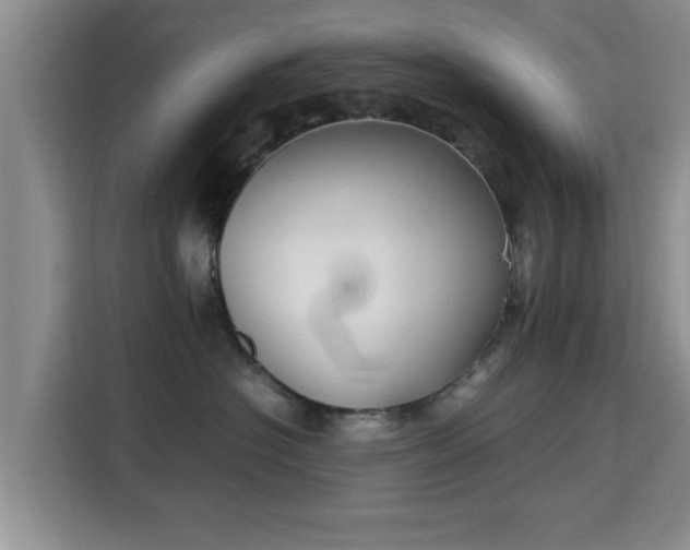 X0000115720574200911191354