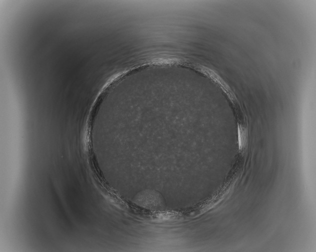 X0000115720579200911191353