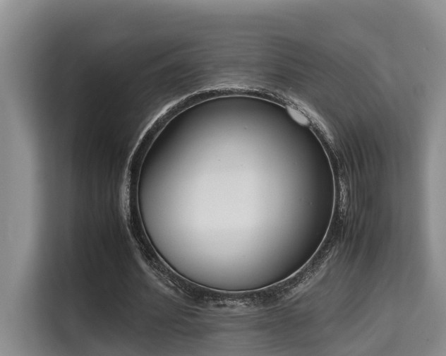 X0000115720580200911191353