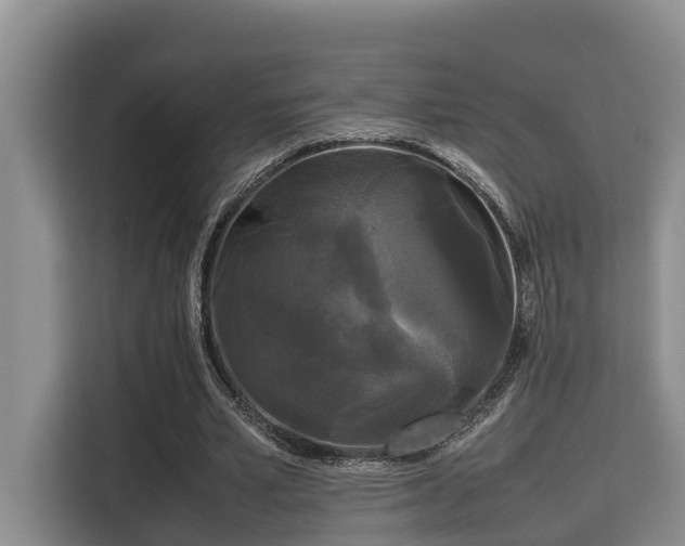 X0000115720581200911191353