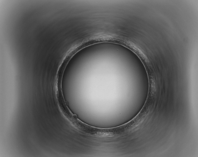 X0000115720582200911191353