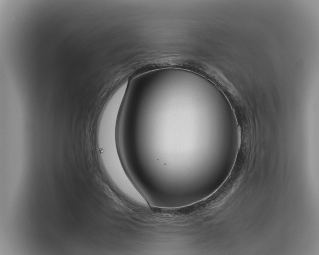 X0000115720585200911191353