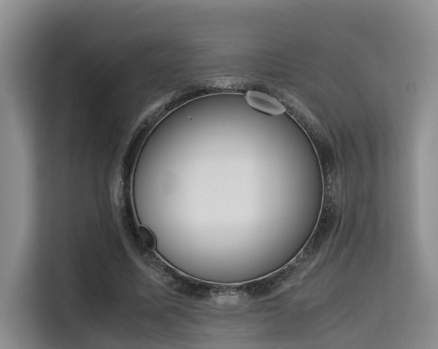 X0000115720587200911191353