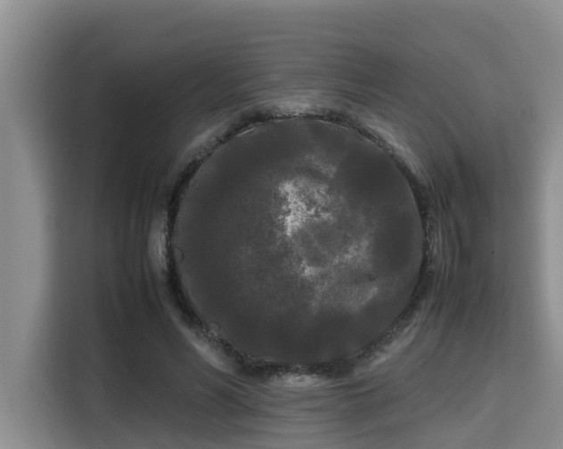 X0000115720590200911191353