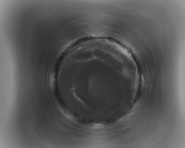 X0000115720592200911191353