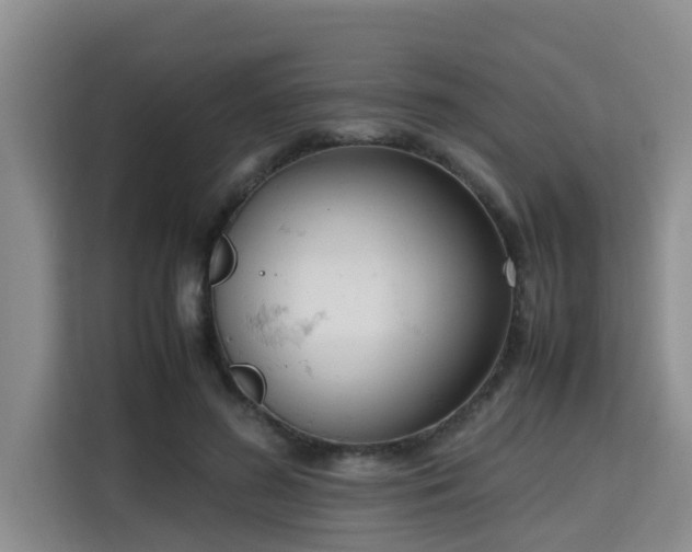 X0000115720596200911191353