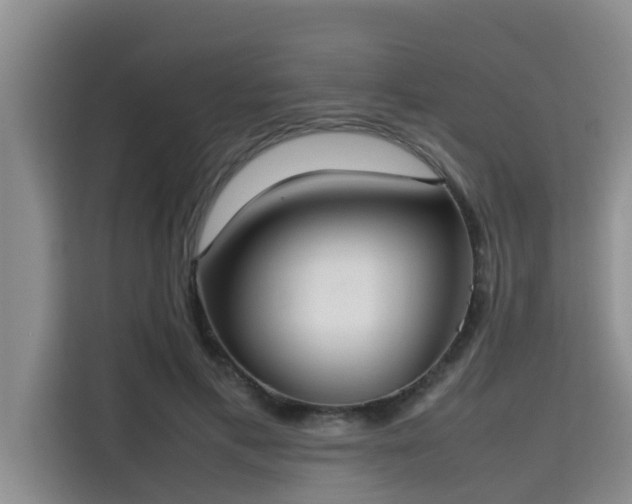 X0000115720597200911191353