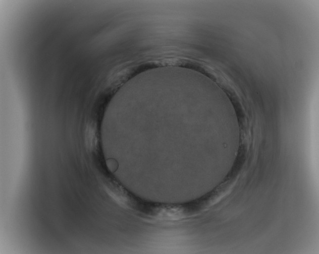 X0000115720599200911191353
